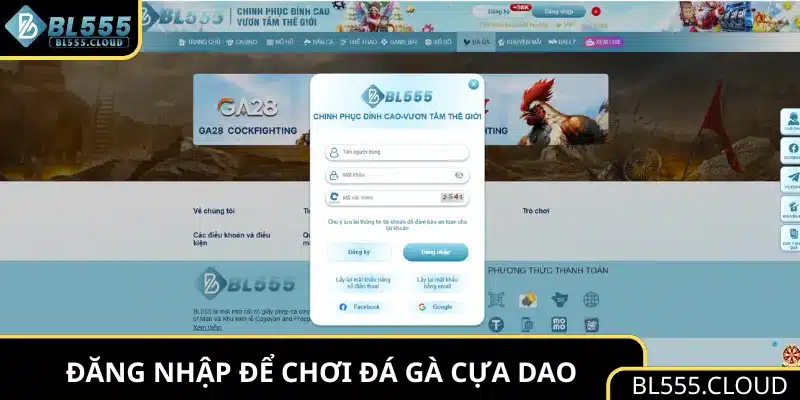Đăng nhập BL555 để chơi đá gà cựa dao